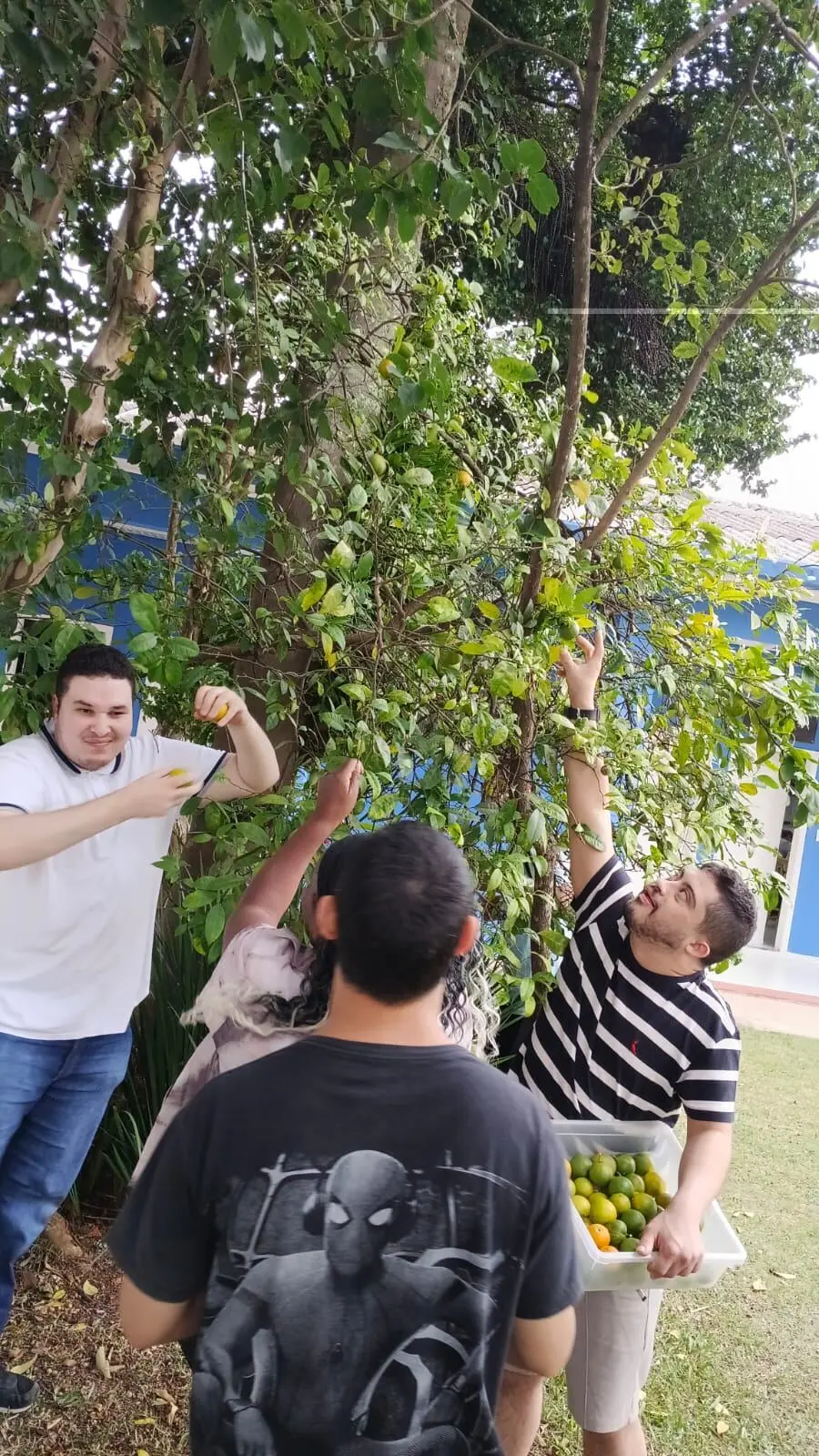 Participantes da Fundação 6