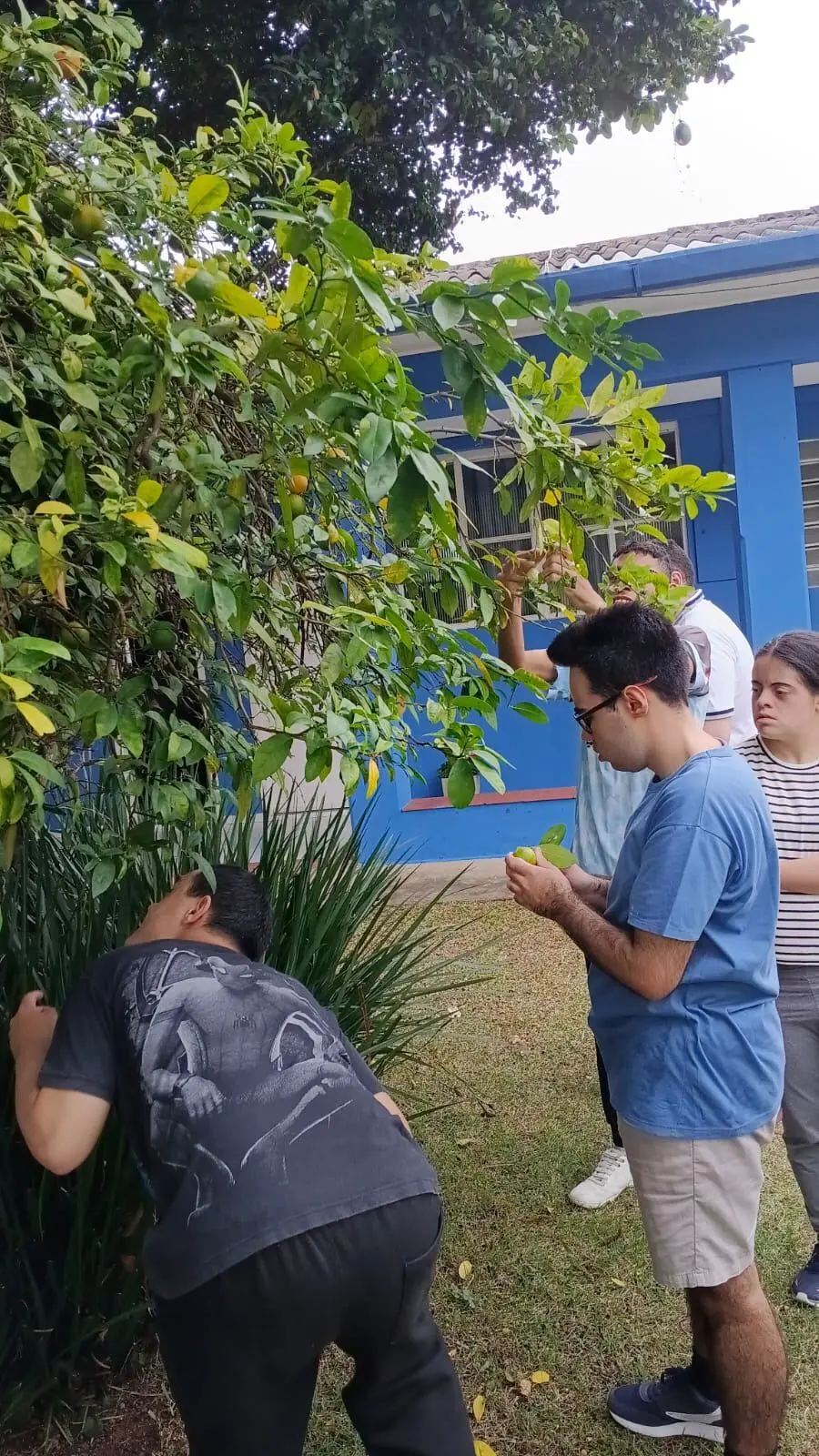 Jardim externo
